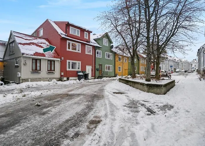 公寓 Downtown Apartmemt *